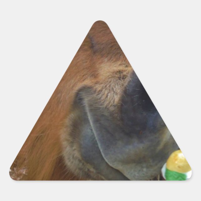 Pegatina Triangular Bunny de Pascua y caballo marrón (Anverso)
