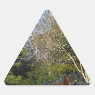 Pegatina Triangular Caballo marrón contra una valla