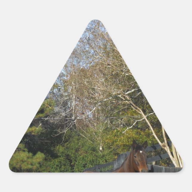 Pegatina Triangular Caballo marrón contra una valla (Anverso)
