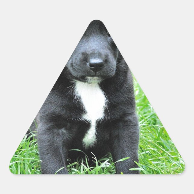 Pegatina Triangular Cachorro totalmente adorable (Anverso)