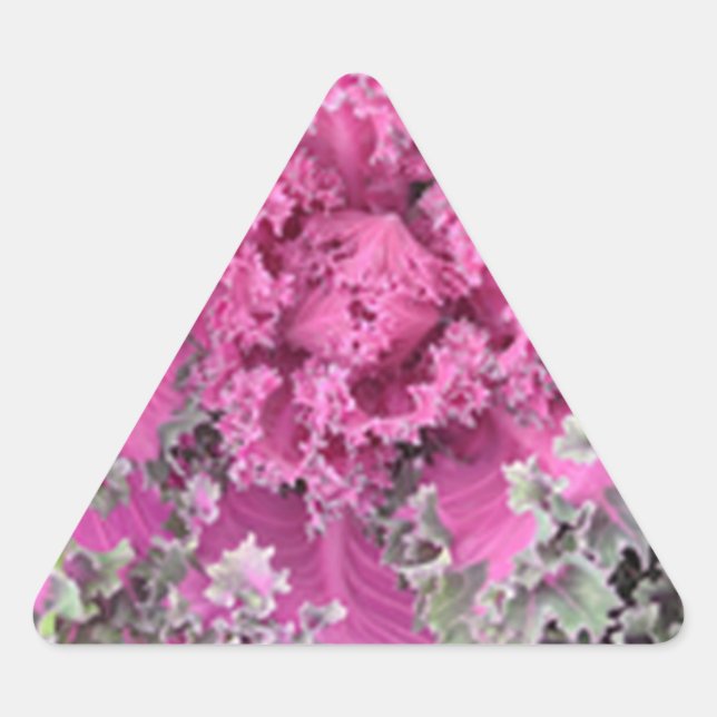 Pegatina Triangular Cactus (Anverso)