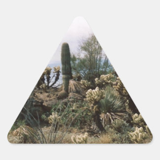 Pegatina Triangular Cactus Garden