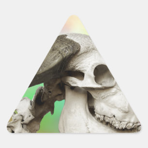 Pegatina Triangular Calavera de búfalo en fondo acuarela