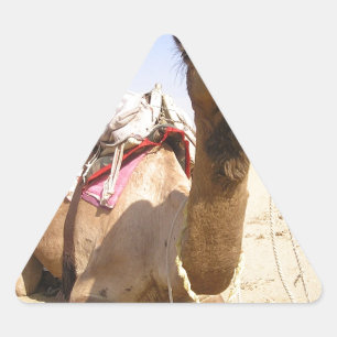 Pegatina Triangular Camello Desierto Medio Oriente Paz Amor Naturaleza