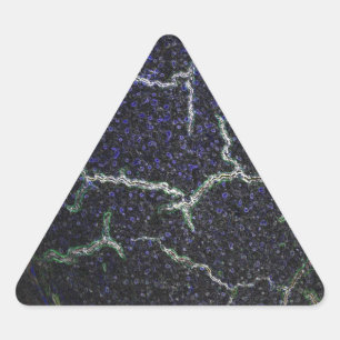 Pegatina Triangular caparazón