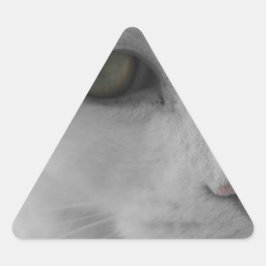 Pegatina Triangular Cara de gatos negros y blancos