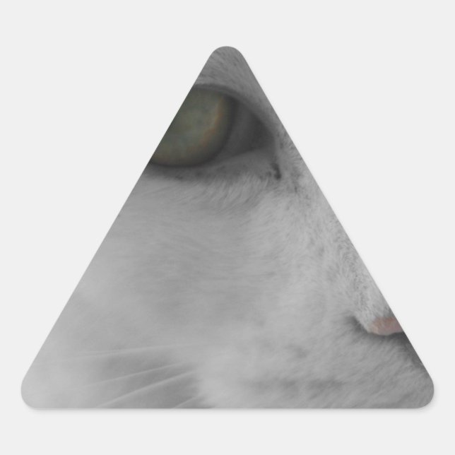 Pegatina Triangular Cara de gatos negros y blancos (Anverso)