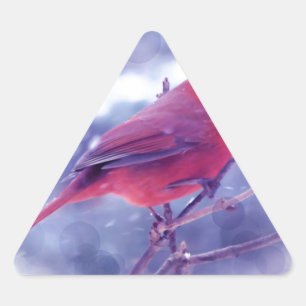 Pegatina Triangular Cardenal rojo en Blizzard