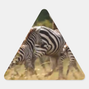 Pegatina Triangular Cebras en movimiento: Un viaje de mil millas