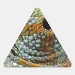Pegatina Triangular Chameleon Eye Mod Animal De Estilo
