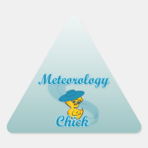 Pegatina Triangular Chick de meteorología n.º 3
