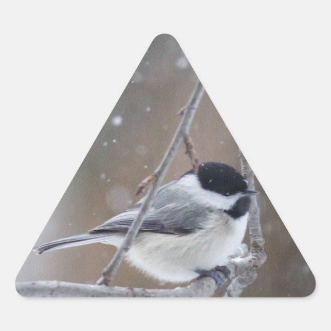 Pegatina Triangular Chickadee con gorra negra - Songbird (Anverso)