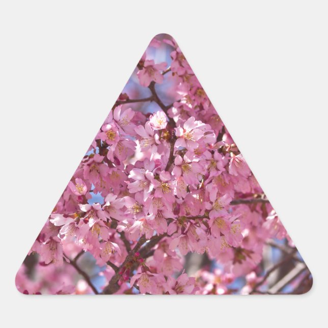 Pegatina Triangular Cielo de Flor de Cerezo Rosa Sakura (Anverso)