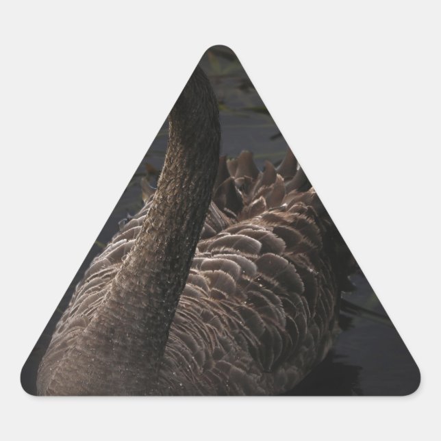 Pegatina Triangular Cisne negro (Anverso)