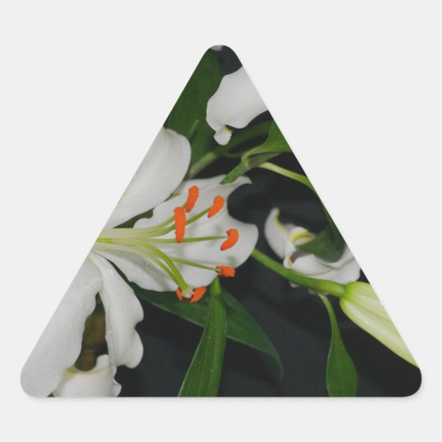Pegatina Triangular Colección irlandesa de Brass y Flores (Anverso)