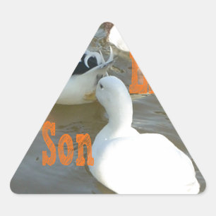 Pegatina Triangular Como Padre Como Hijo.