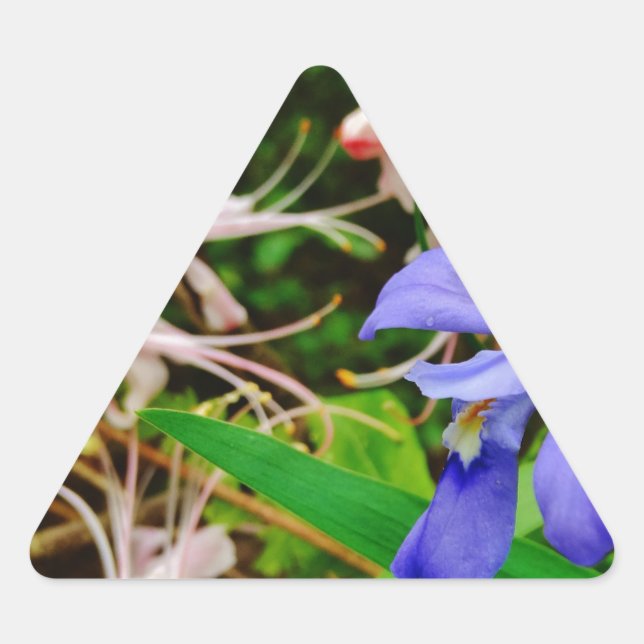 Pegatina Triangular Crested Dwarf Iris (Anverso)