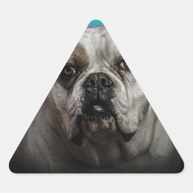 Pegatina Triangular Cute Boxer Dog con fondo de degradado negro azul (Anverso)
