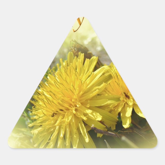 Pegatina Triangular Dandelions - Un hola soleado (Anverso)