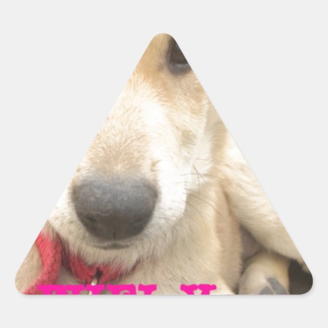 Pegatina Triangular Deberías WIFI Tu Amor Todos los Días (Anverso)
