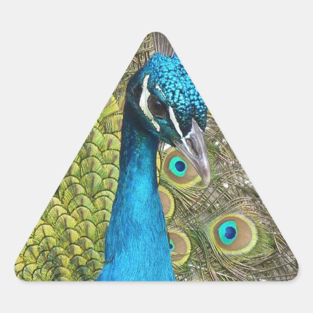 Pegatina Triangular Diseñar su propio triángulo de Pegatinas fotográfi (Anverso)