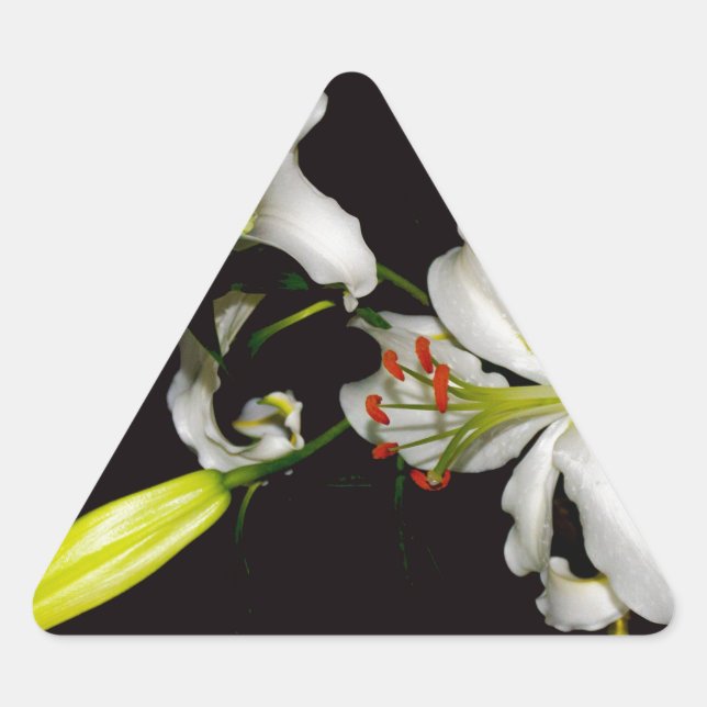 Pegatina Triangular Diseño irlandés - Colección de bronce y flores (Anverso)