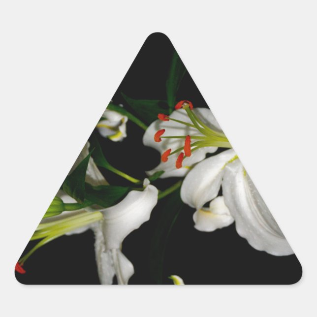 Pegatina Triangular Diseño irlandés - Colección de flores (Anverso)