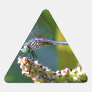 Pegatina Triangular Dragón de ojos verde azulados