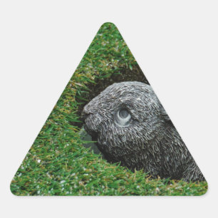 PEGATINA TRIANGULAR DSCF0652.JPG