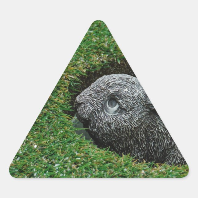 PEGATINA TRIANGULAR DSCF0652.JPG (Anverso)