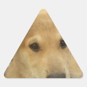 Pegatina Triangular El amor de las pipas: El mejor amigo del hombre