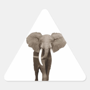 Pegatina Triangular Elefante