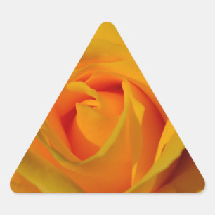 Pegatina Triangular Elegante foto de rosa amarillo