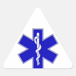 Pegatina Triangular EMS Sticker