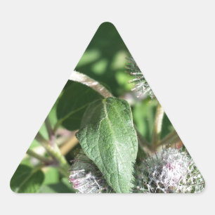 Pegatina Triangular encaje sobre el cardo
