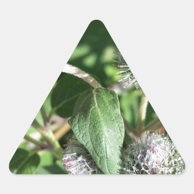 Pegatina Triangular encaje sobre el cardo (Anverso)
