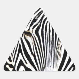 Pegatina Triangular Esperando_