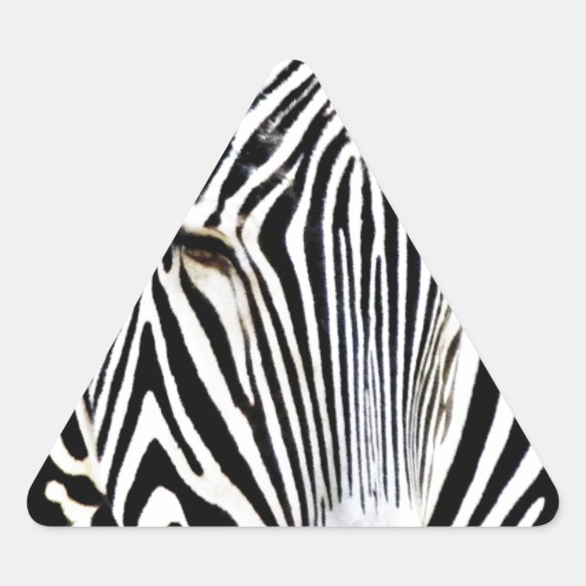 Pegatina Triangular Esperando_ (Anverso)