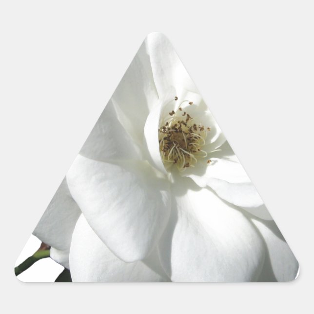Pegatina Triangular Fiesta de Rosas Blancas Regaderas de Boda Flores d (Anverso)