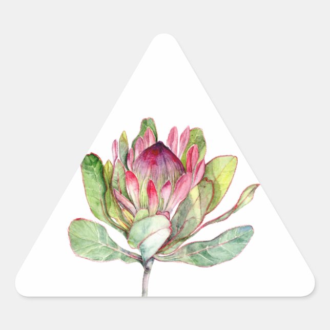 Pegatina Triangular Flor Protea (Anverso)