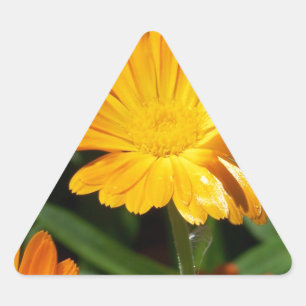 Pegatina Triangular Flores amarillas flores arte paz destino de amor