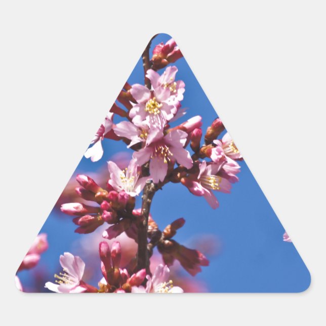Pegatina Triangular Flores de Cerezo Sakura Tocando Azul (Anverso)