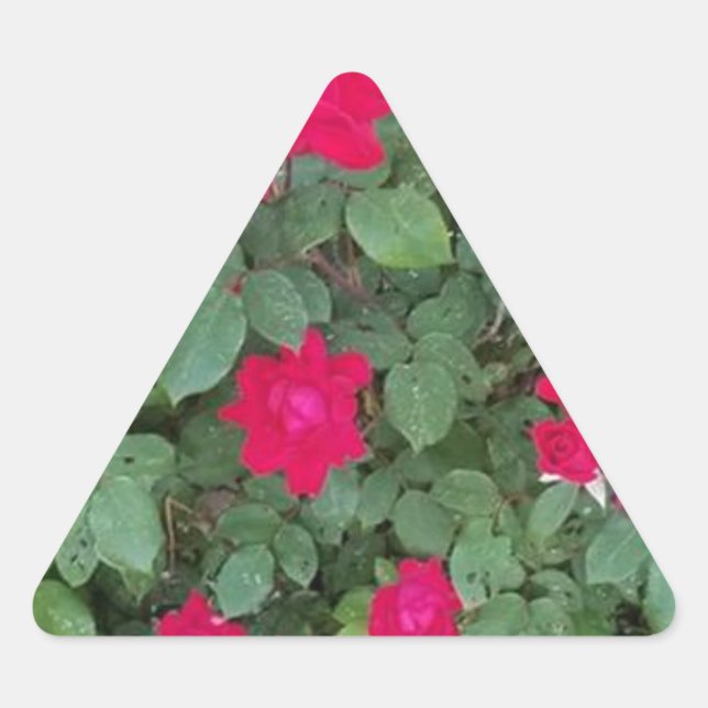 Pegatina Triangular Flores Hermosas (Anverso)