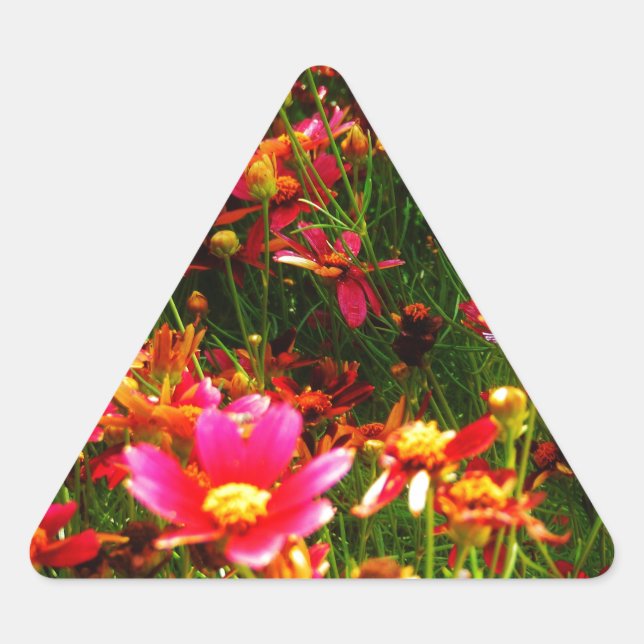 Pegatina Triangular Flores negras rosadas y amarillas Daisy Wild (Anverso)
