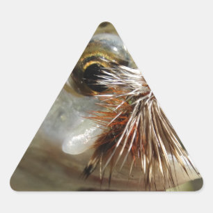 Pegatina Triangular Foto de Rainbow Trout