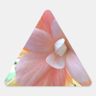 Pegatina Triangular Fotografía de la flor hawaiana Hibiscus