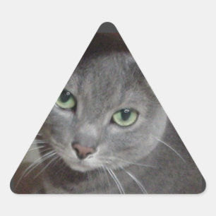 Pegatina Triangular Gato azul de Rusia