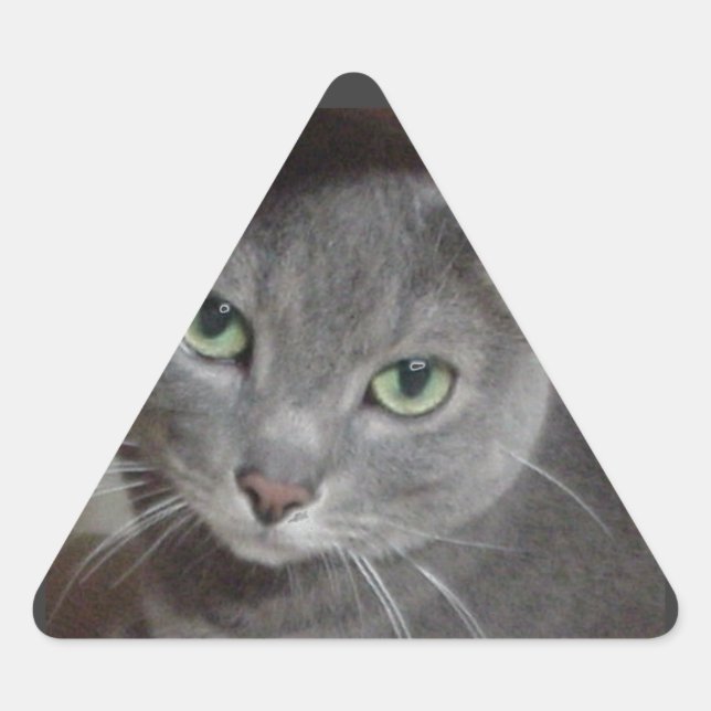 Pegatina Triangular Gato azul de Rusia (Anverso)
