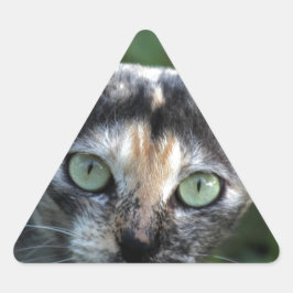 Pegatina Triangular Gato blanco gris marrón con ojos verdes