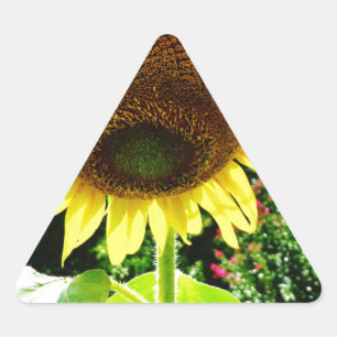 Pegatina Triangular Girasol amarillo grande
